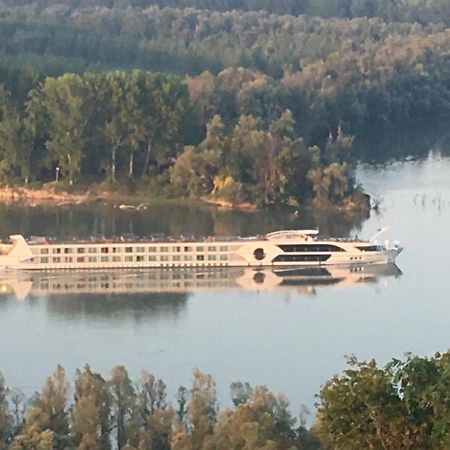 Willa Kuca Za Odmor Brzica Erdut Zewnętrze zdjęcie
