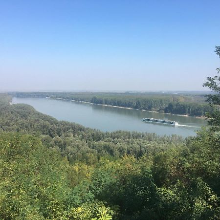 Willa Kuca Za Odmor Brzica Erdut Zewnętrze zdjęcie