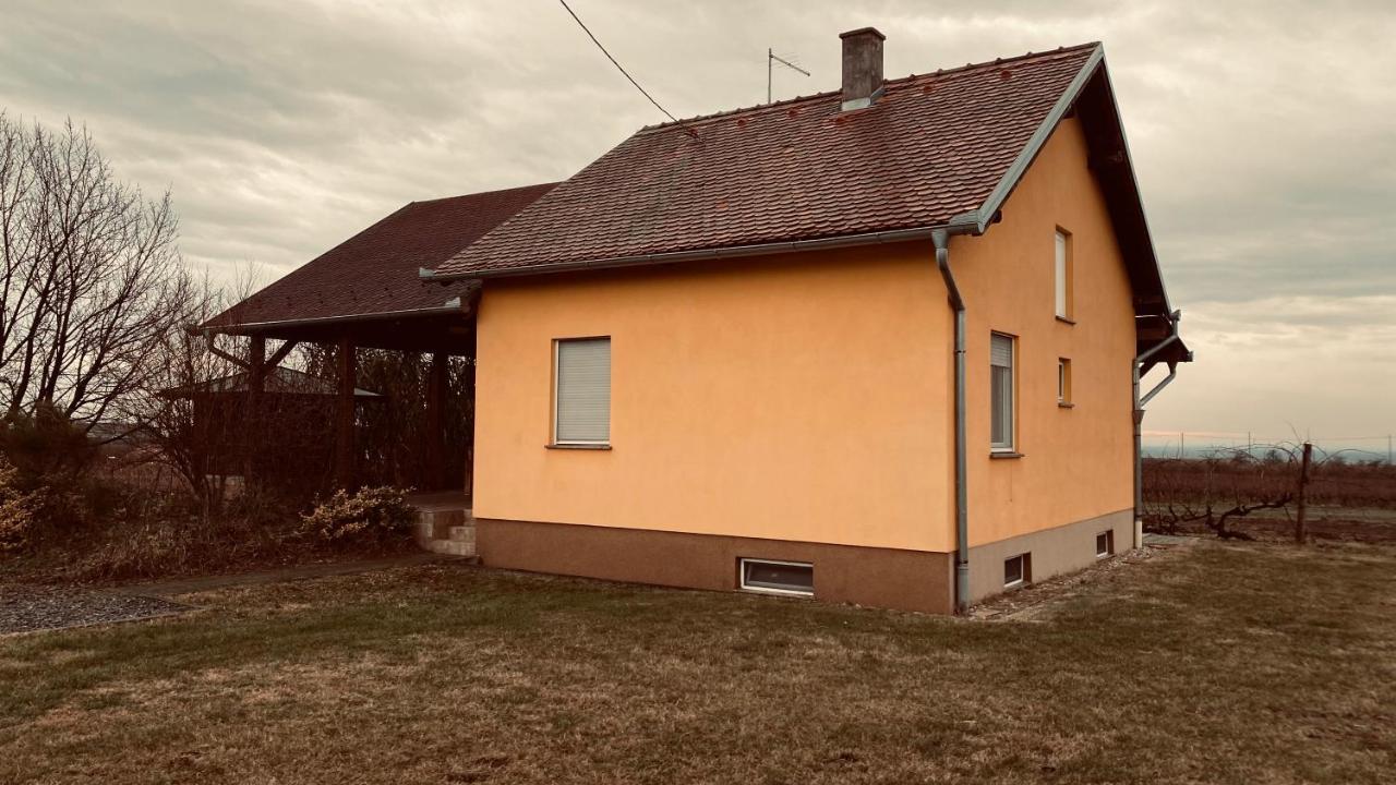 Willa Kuca Za Odmor Brzica Erdut Zewnętrze zdjęcie